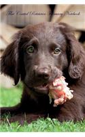 Flat Coated Retriever February Notebook Flat Coated Retriever Record, Log, Diary, Special Memories, To Do List, Academic Notepad, Scrapbook & More