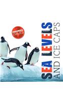 Sea Levels and Ice Caps