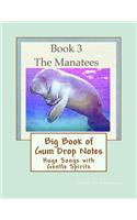 Big Book of Gum Drop Notes - Manatees - Book 3