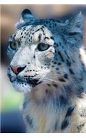 Snow Leopard Any Day Planner Notebook