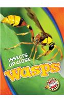 Wasps