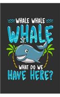 Whale Whale Whale What Do We Have Here