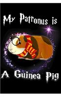 My Patronus is a Guinea Pig