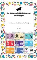 20 Havaton Selfie Milestone Challenges: Havaton Milestones for Memorable Moments, Socialization, Indoor & Outdoor Fun, Training Book 2