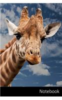 Notebook: Jirafa, Animal, África, La Puesta Del Sol Cuaderno / Diario / Libro de escritura / Notas - 6 x 9 pulgadas (15.24 x 22.86 cm), 150 páginas, superfici