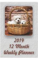 2019 12 Month Weekly Planner: 1 Year Daily/Weekly/Monthly Planner, January 2019-December 2019, Maltese Dog Puppies Cover