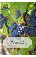 Journal: Vineyard