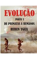 de Primatas a Humanos: Evolução(3 Evolução)