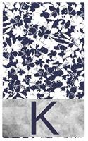 K Initial Notebook