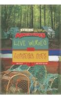 Live Wires & Lobster Pots