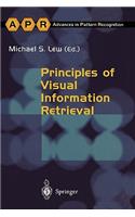 Principles of Visual Information Retrieval