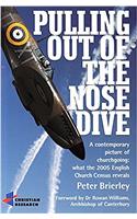 PULLING OUT OF THE NOSE DIVE