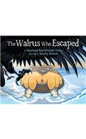 Walrus Who Escaped