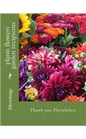 plants flowers garden recipients