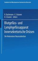 Blutgefäss- Und Lymphgefässapparat Innersekretorische Drüsen