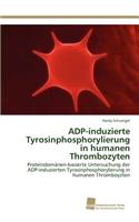 ADP-induzierte Tyrosinphosphorylierung in humanen Thrombozyten