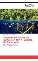 Ficoflora en Raíces de Mangle en el P.N. Laguna de Tacarigua
