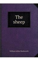 The Sheep: (English)