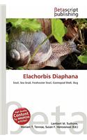 Elachorbis Diaphana: (English)
