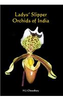 Ladys’ Slipper Orchids of India