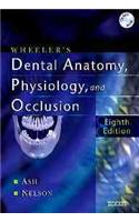 Wheelers Dental Anatomy, Physiology And Occlusion,8E