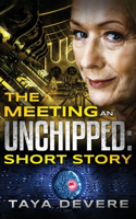 Meeting an Unchipped Short Story