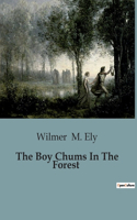 Boy Chums In The Forest