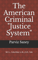 American Criminal Justice System