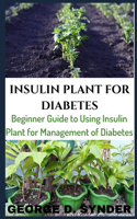 Insulin Plant for Diabetes