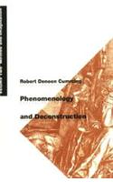 Phenomenology and Deconstruction, Volume Two