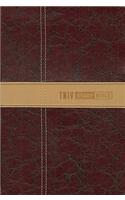 Zondervan TNIV Study Bible