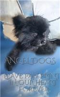 Angel Dog in Heaven