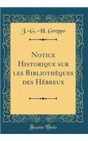 Notice Historique Sur Les BibliothÃ¨ques Des HÃ©breux (Classic Reprint)