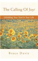 The Calling of Joy!: Unfolding Your Soul in Your Life(English)