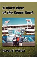 Fan's View of the Super Bowl (R)