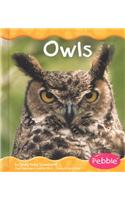 Owls