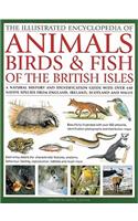 Illustrated Encyclopedia of Animals, Birds & Fish of the British Isles