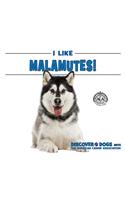 I Like Malamutes!