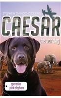 Caesar the War Dog 3: Operation Pink Elephant