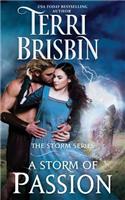 Storm of Passion: The STORM Series