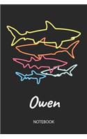Owen - Notebook