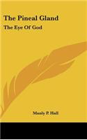Pineal Gland: The Eye Of God