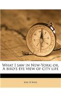 What I Saw in New-York; Or, a Bird's Eye View of City Life