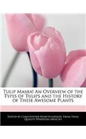 Tulip Mania! an Overview of the Types of Tulips and the History of These Awesome Plants