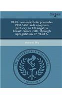 Dlx4 Homeoprotein Promotes Pi3k/Akt Anti-Apoptosis Pathway in Er Negative Breast Cancer Cells Through Upregulation of Vegfa