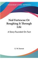 Ned Fortescue Or Roughing It Through Life