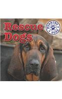 Rescue Dogs