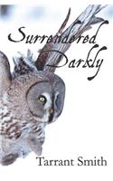 Surrendered Darkly: (Darkly)