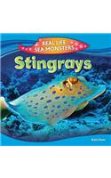 Stingrays