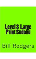 Level 3 Large Print Sudoku